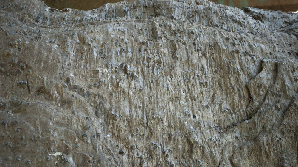 Rocks at the Sandy river