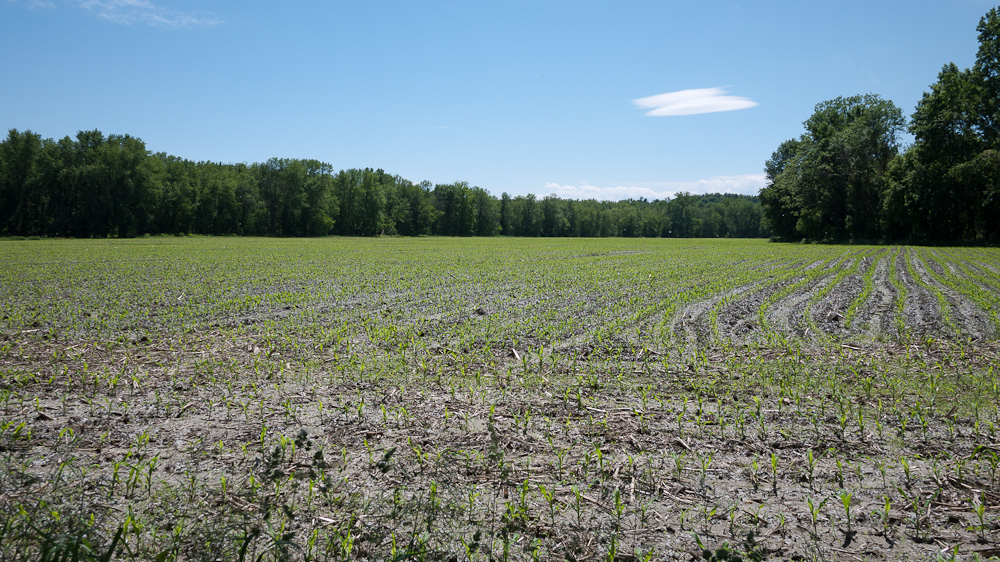 The Intervale